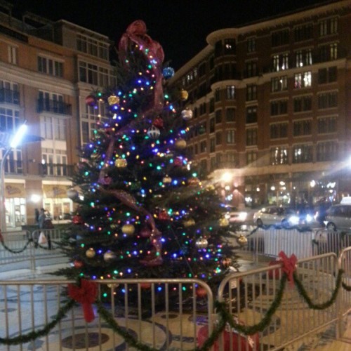 The Christmas tree in Columbia Heights by my house. It makes a trip to the grocery store a pretty experience.